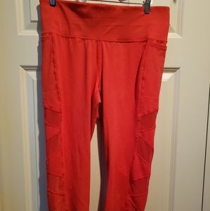 Lane Bryant "Livi" leggings